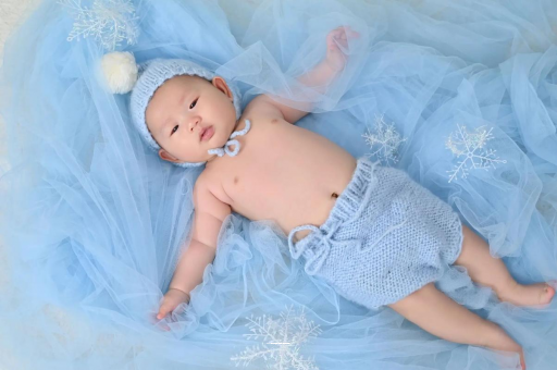 阜宁宝宝树怎么样 阜宁宝宝树怎么样